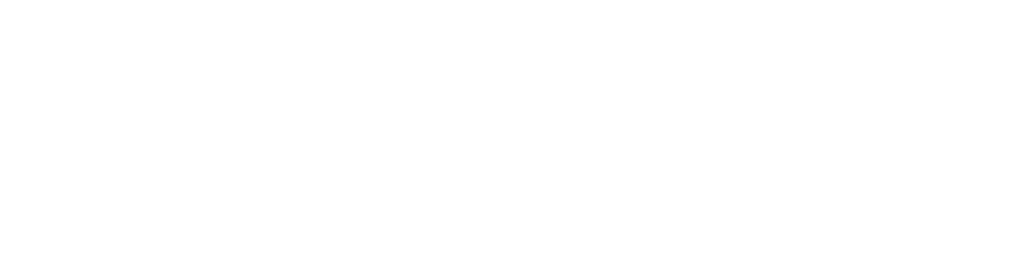 MBFY_Wordmark_2025_WHITE